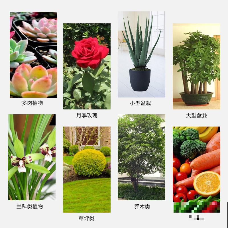 植物轻微烂根，可以依靠自愈能力，做好3点最重要