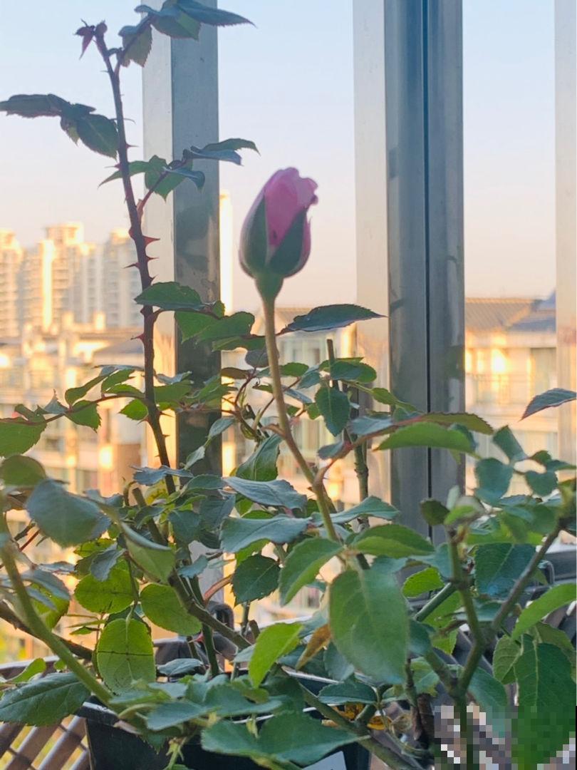 6个除湿小妙招，轻松解决潮湿问