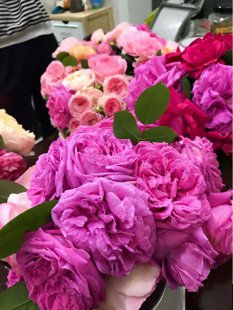 自己建个花园，希望能有一块地，安静思考，静静赏花