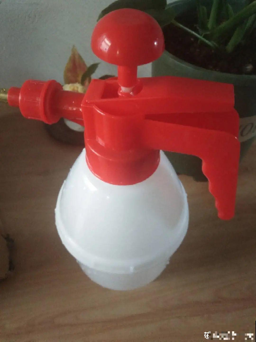 养多肉不用买花盆,只需一些水泥,自己就能DIY做花盆 养多肉不用买花盆,只需一些水泥,自己就能DIY做花盆