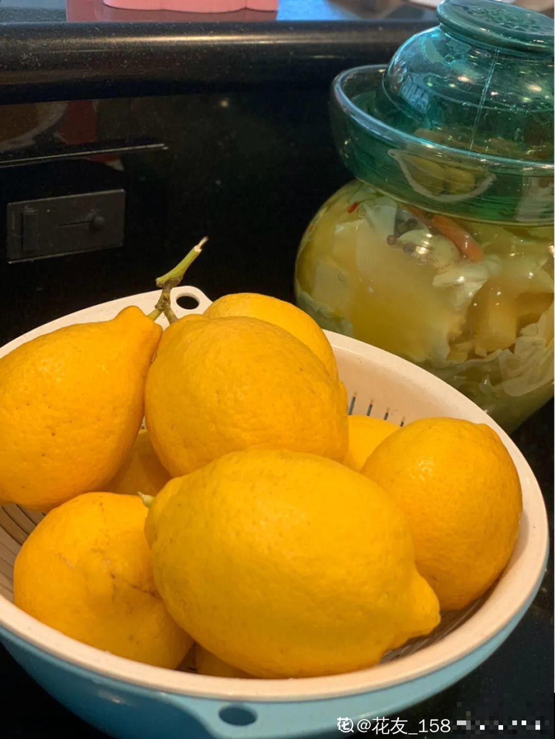 玉米棒子插水里，比绿植长得快，长成清新小盆栽