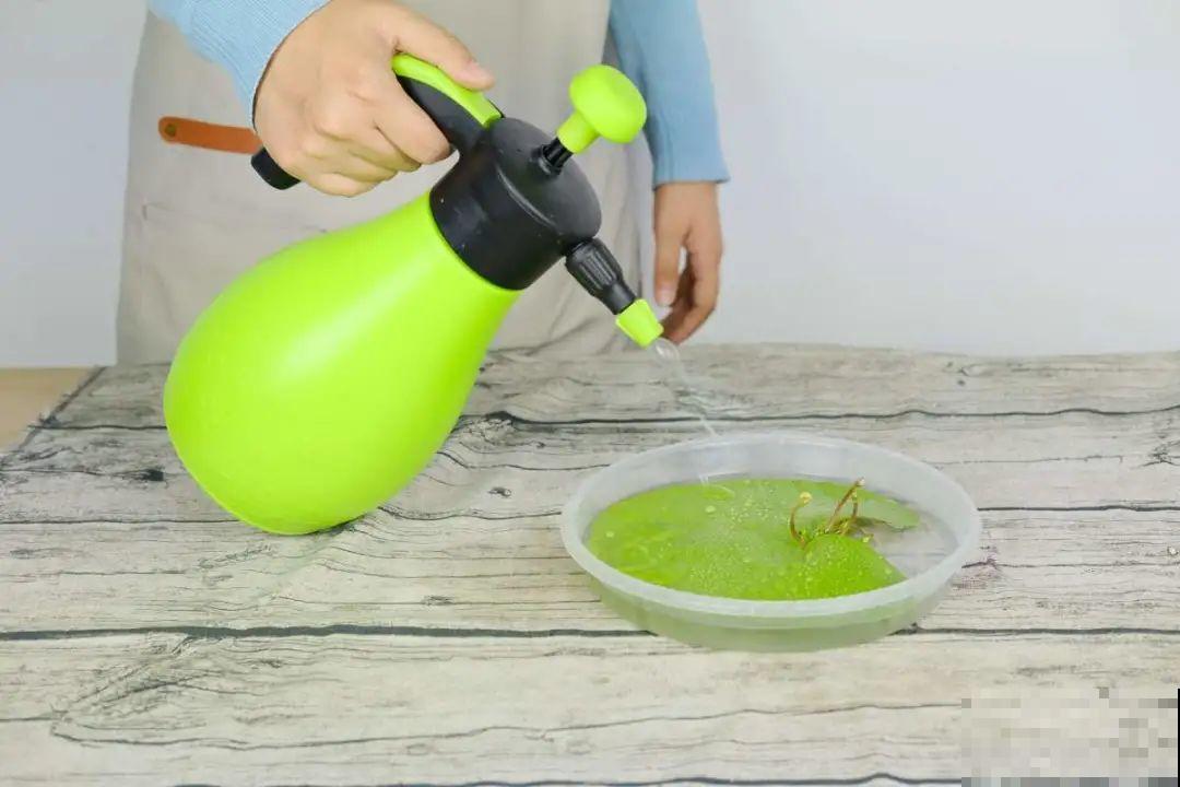 10种花夏天喝水多,多浇水,很快爆满一大缸 10种花夏天喝水多,多浇水,很快爆满一大缸