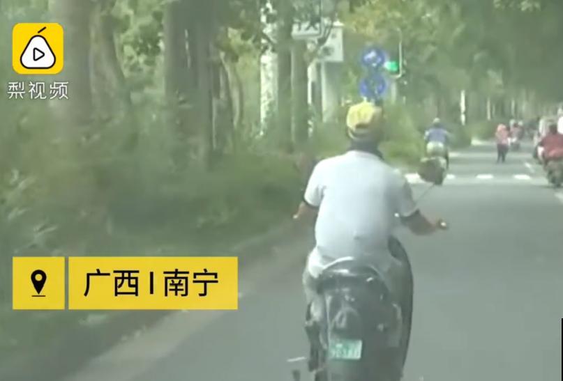 医院大门口,一男子竟被一片叶子砸晕,这叶子可真够大的 医院大门口,一男子竟被一片叶子砸晕,这叶子可真够大的