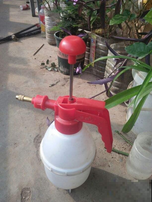 养花必备5件“家伙事儿”，个头小却实在好用，你家有几个？