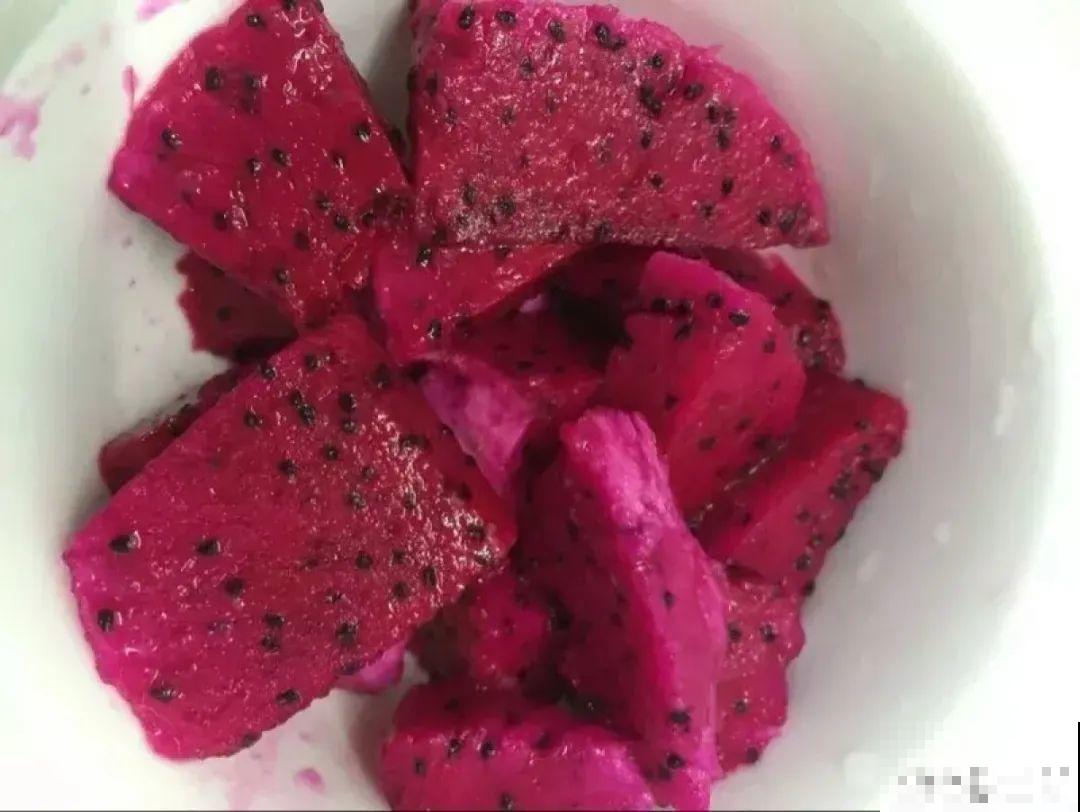 玉米棒子插水里，比绿植长得快，长成清新小盆栽