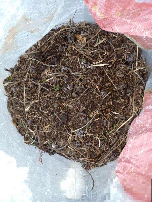 土壤板结,加这2样东西,土变疏松还肥得流油! 土壤板结,加这2样东西,土变疏松还肥得流油!