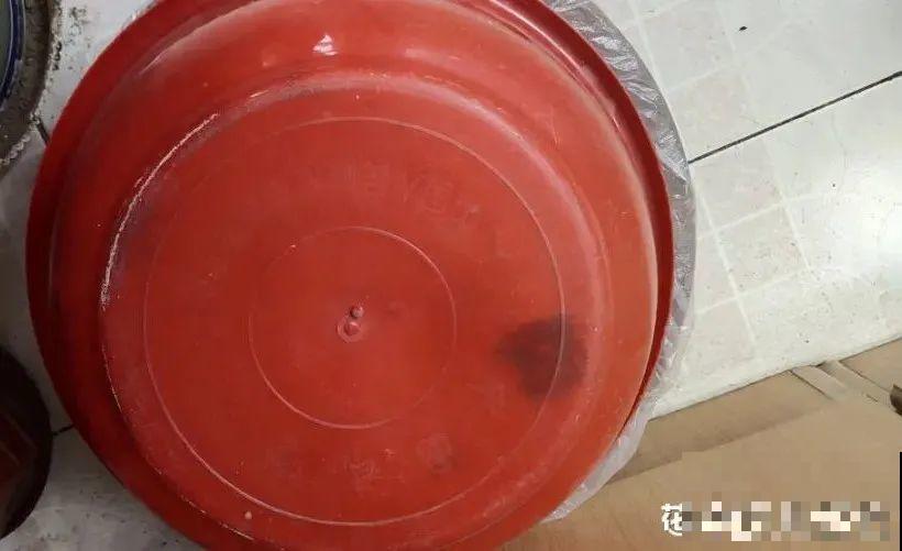 养多肉不用买花盆,只需一些水泥,自己就能DIY做花盆 养多肉不用买花盆,只需一些水泥,自己就能DIY做花盆