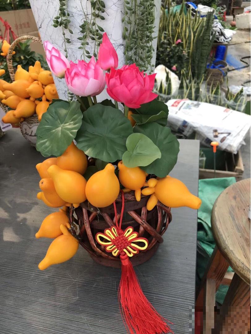 7种“命里带金”的花，在家养一盆，添福有好兆头