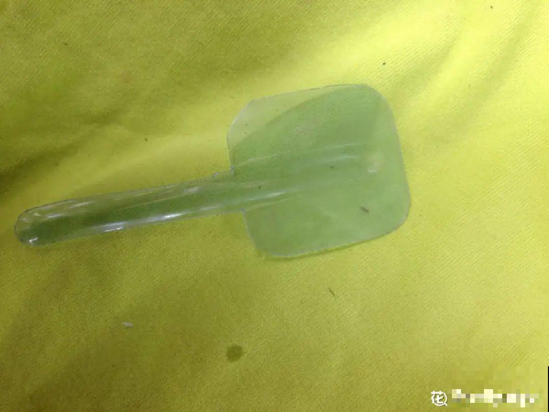 养多肉不用买花盆,只需一些水泥,自己就能DIY做花盆 养多肉不用买花盆,只需一些水泥,自己就能DIY做花盆