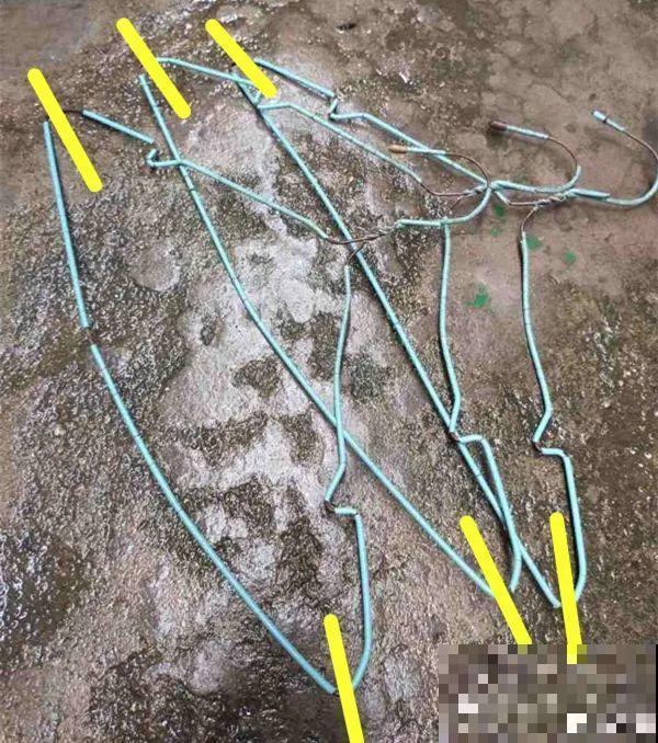 养多肉不用买花盆,只需一些水泥,自己就能DIY做花盆 养多肉不用买花盆,只需一些水泥,自己就能DIY做花盆