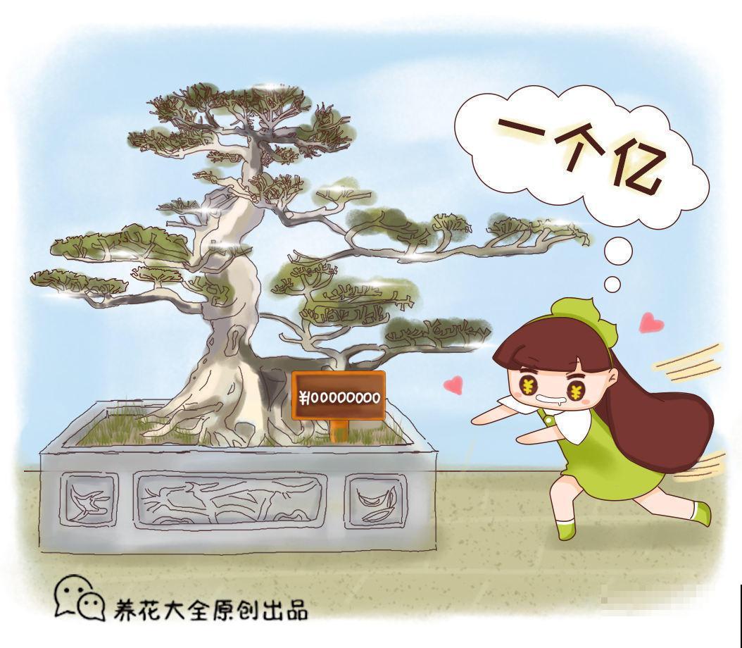 这些花印在人民币上，看看哪朵最有钱，家里赶紧养几盆！