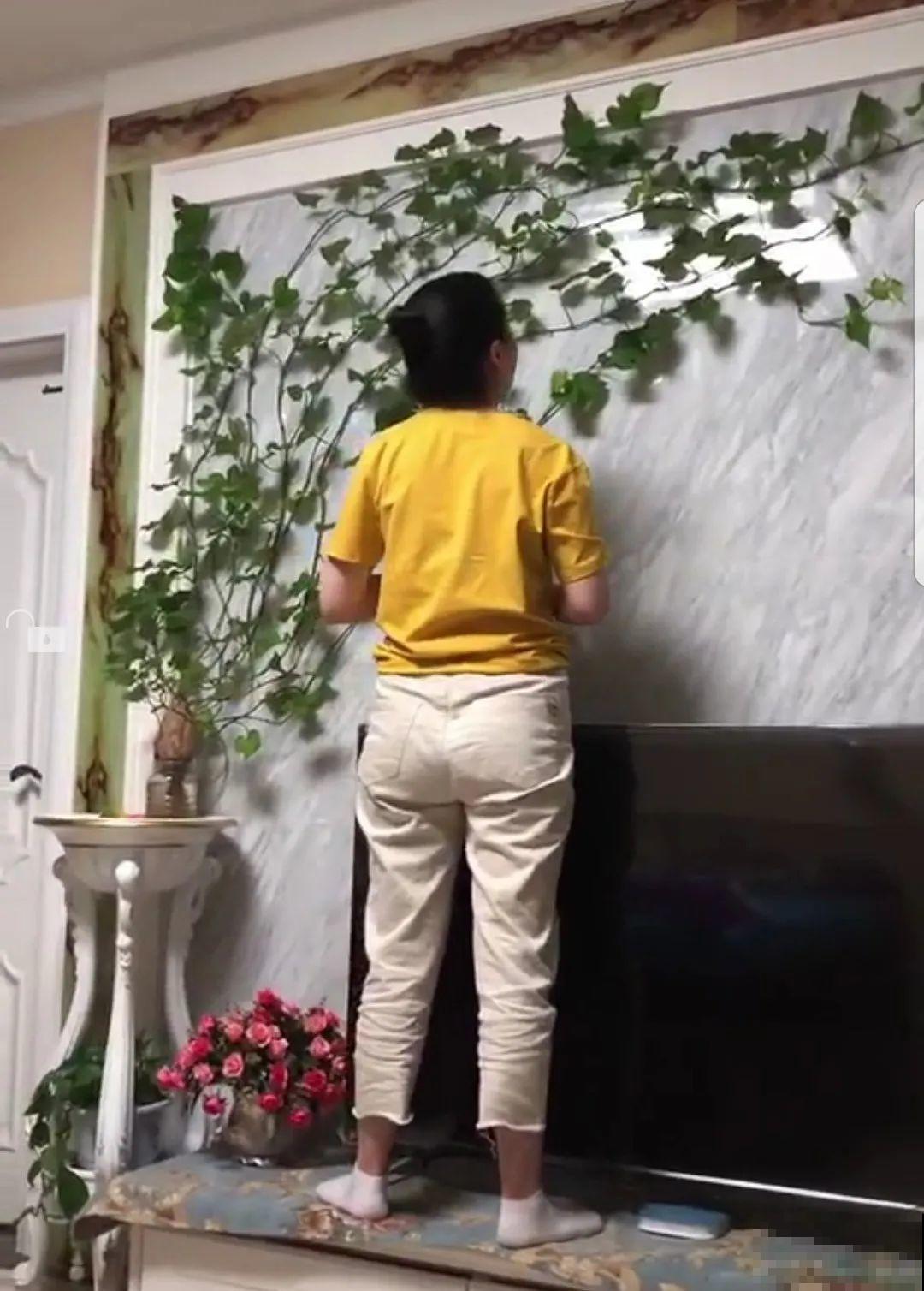 玉米棒子插水里，比绿植长得快，长成清新小盆栽