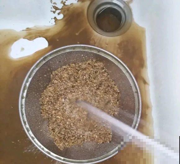 难度夏的8种花，赶紧扦插备份，再晚只剩盆了