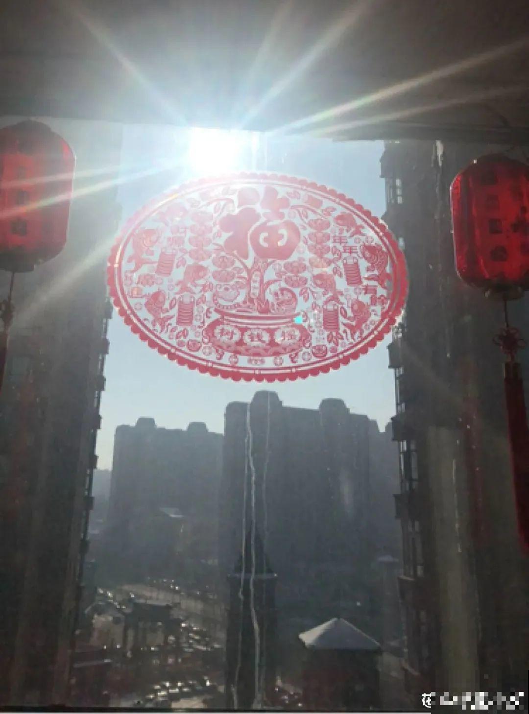 室内养多肉,也能养出水晶果冻色,任谁看到都说好 室内养多肉,也能养出水晶果冻色,任谁看到都说好