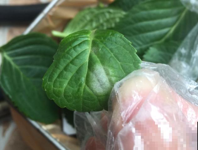 花园“三剑客”，可不太好养，能养好的都是高手