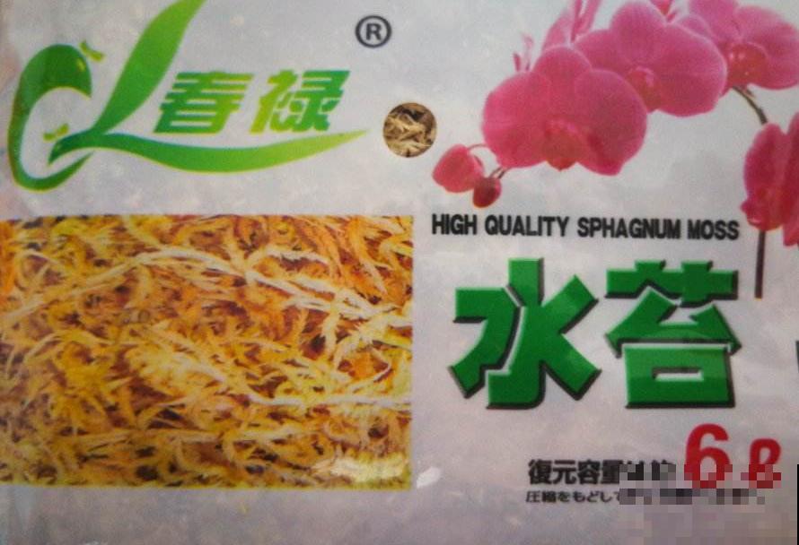 山上水沟里常见的水苔,拿来养花好处多,干净保水,效果也好 山上水沟里常见的水苔,拿来养花好处多,干净保水,效果也好