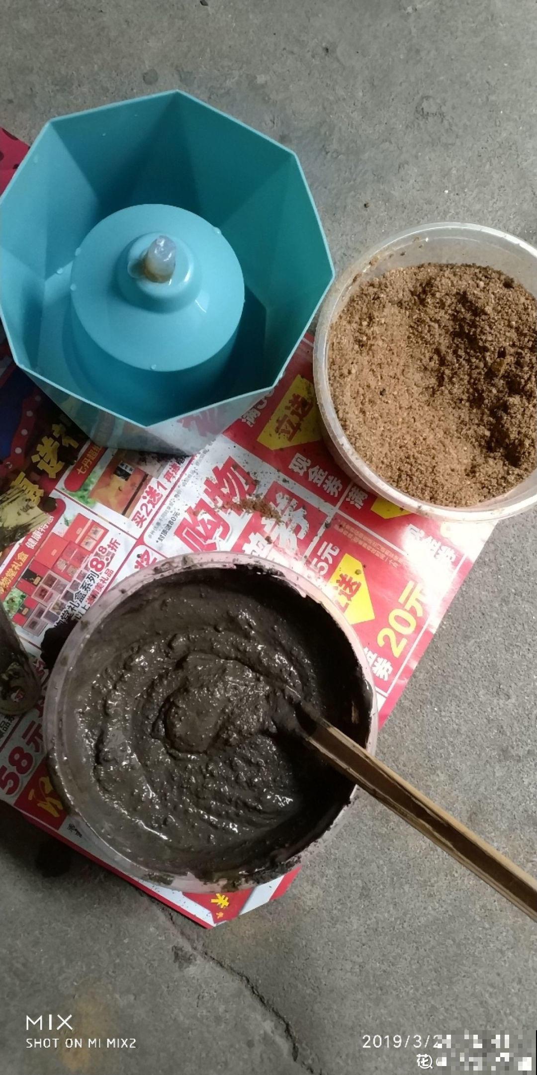 养多肉不用买花盆,只需一些水泥,自己就能DIY做花盆 养多肉不用买花盆,只需一些水泥,自己就能DIY做花盆