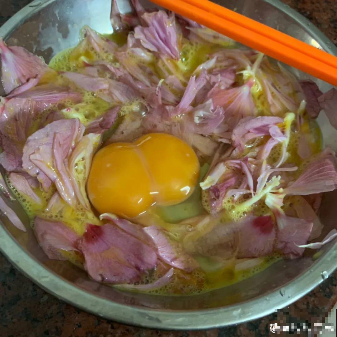 香飘飘的花,吃一口满嘴花香,再不吃就没了 香飘飘的花,吃一口满嘴花香,再不吃就没了