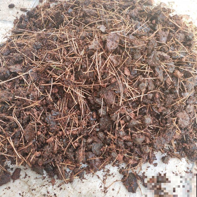 这份养花用土大全,教你如何选好土,从此换土也省事! 这份养花用土大全,教你如何选好土,从此换土也省事!