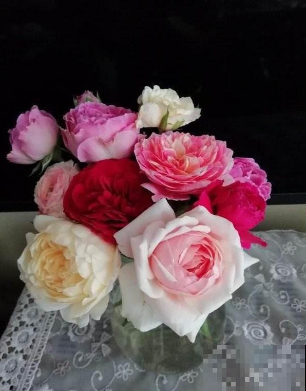 用鲜花“占卜”，每次都能得到你想要的结果，不信来试试！