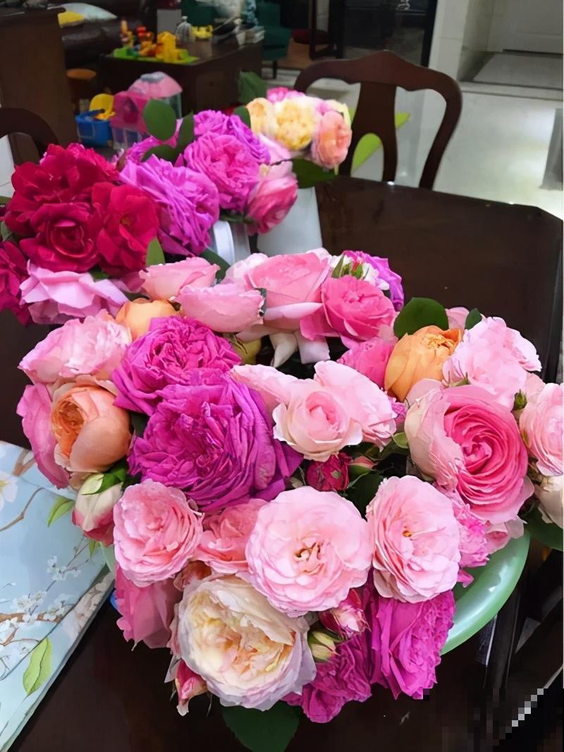 自己建个花园，希望能有一块地，安静思考，静静赏花