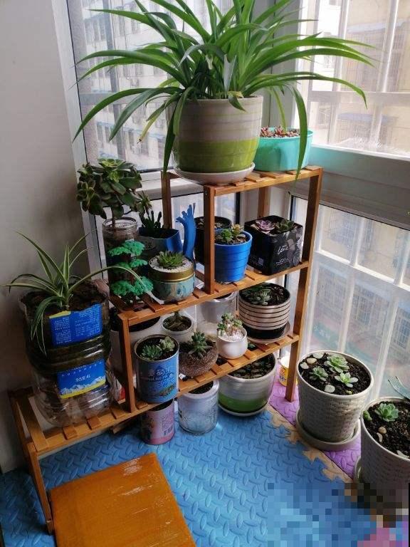 养花必备5件“家伙事儿”，个头小却实在好用，你家有几个？