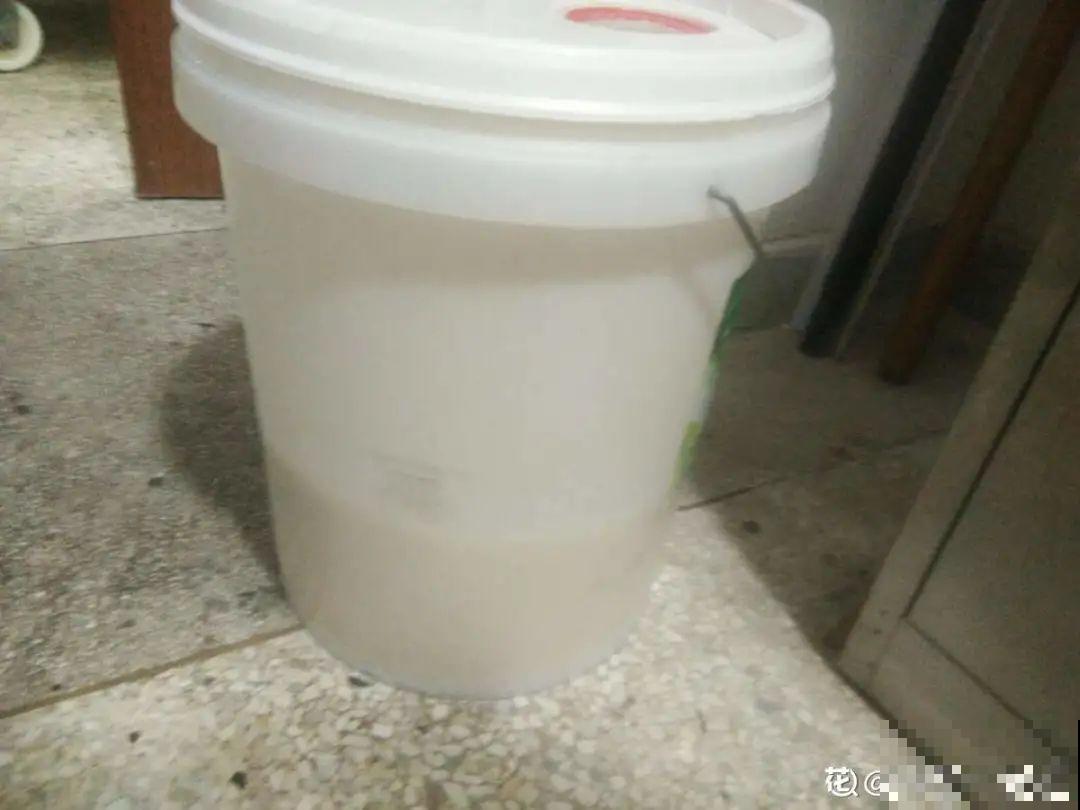 7种情况不能施肥,像毒药一样,浇完花就烧死 7种情况不能施肥,像毒药一样,浇完花就烧死