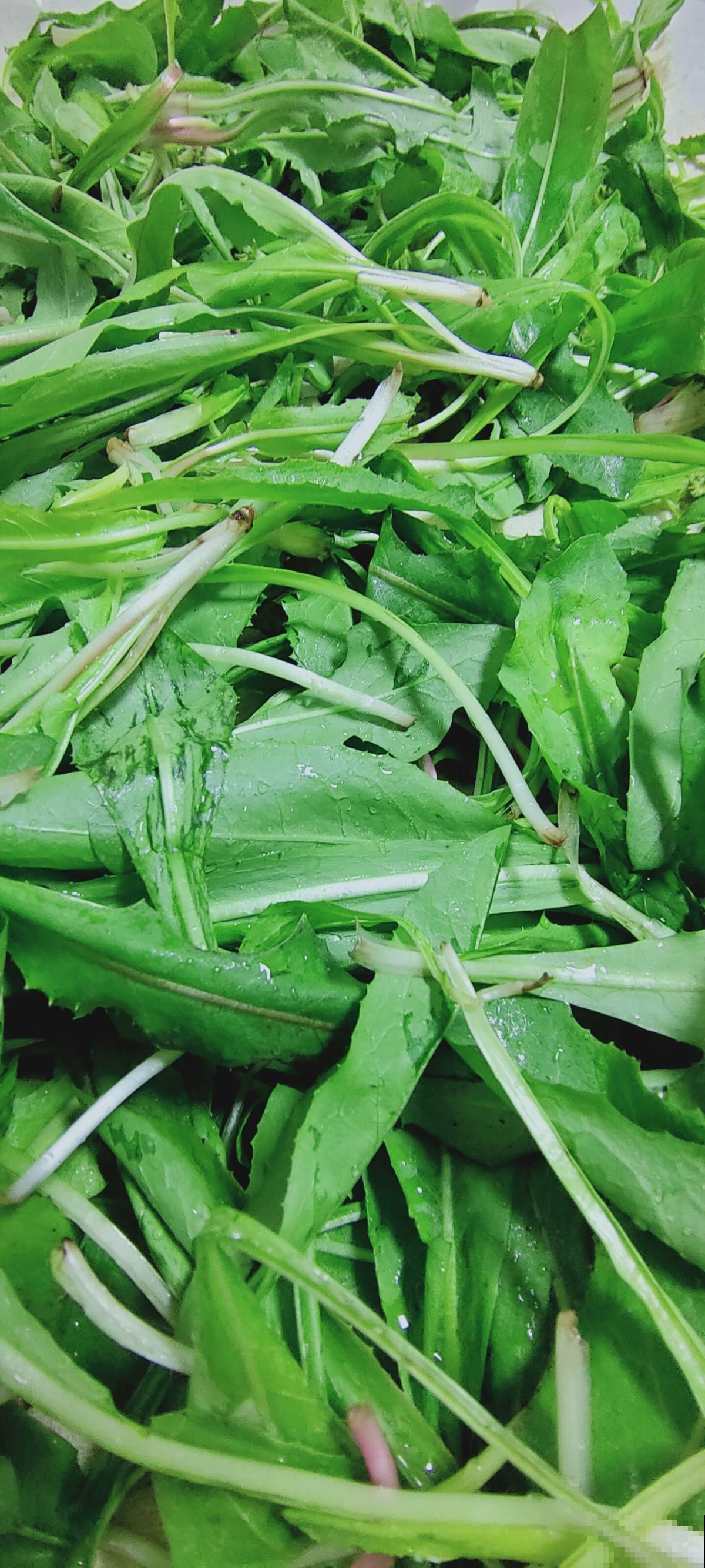 这些“草”其实是野菜，长路边没人要，超市争着买！