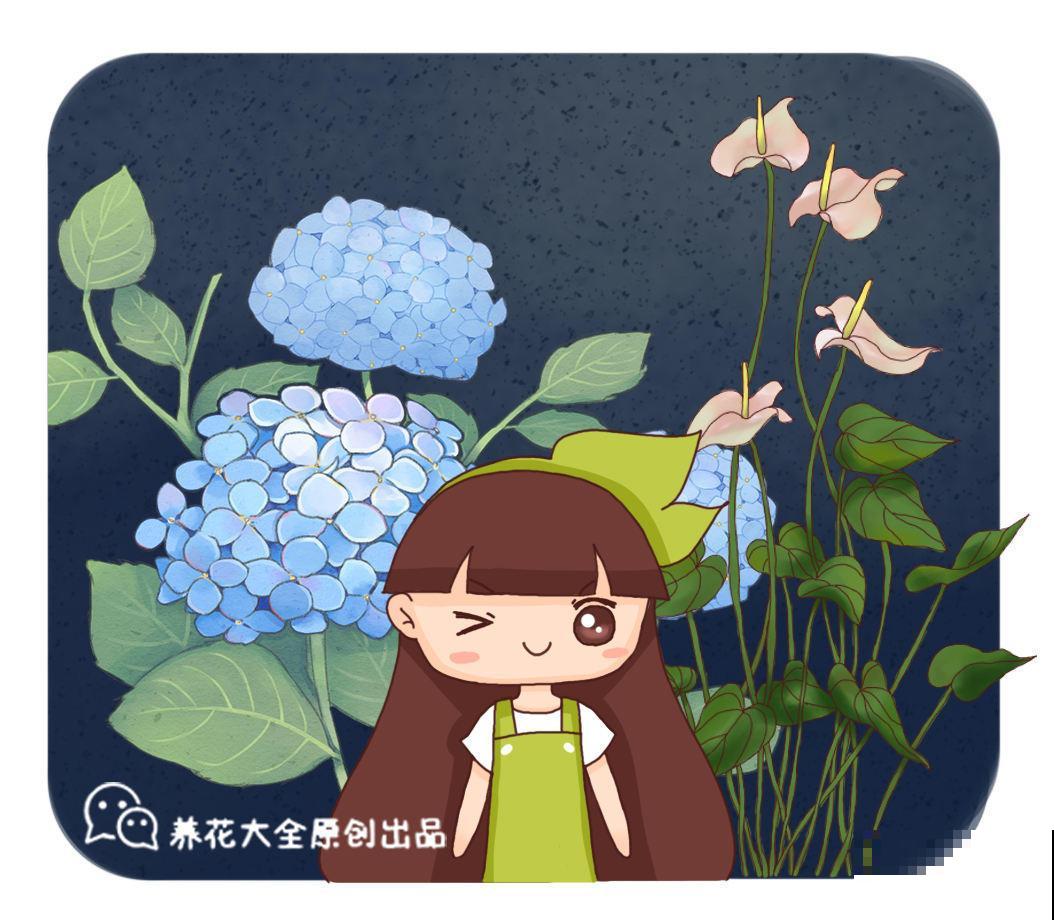 在家做个玻璃生态缸，各种植物随心养，自己就能活！