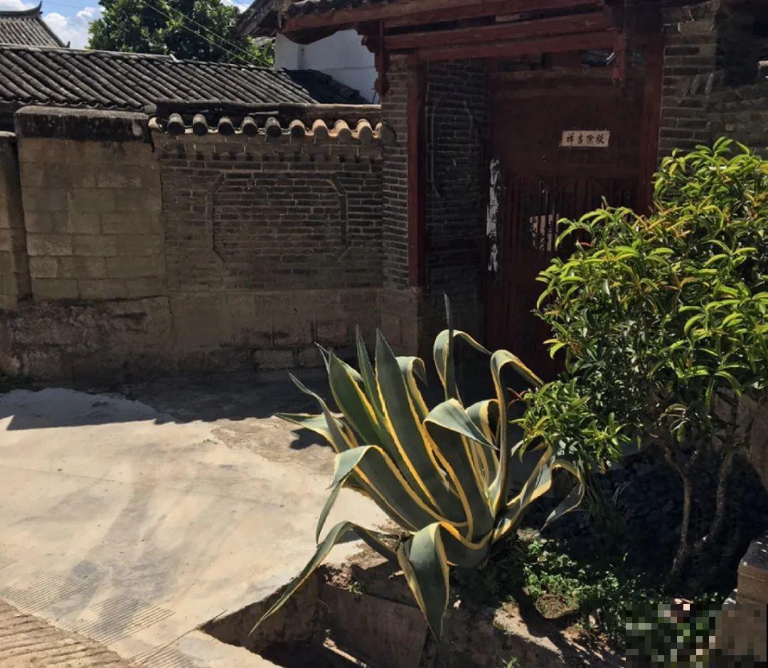 适合大门口养的花，开花时间要长，开花也要大气