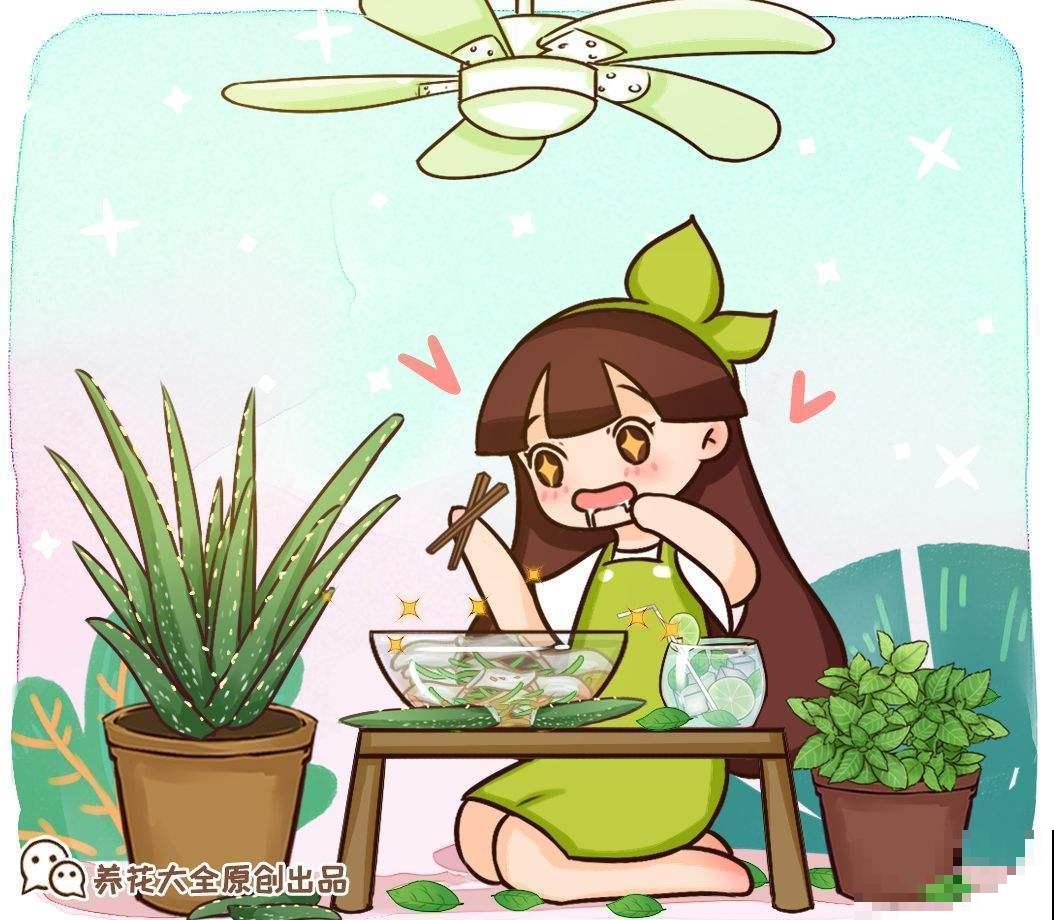 在家薄荷这么养，简单好看，闻着就神清气爽！