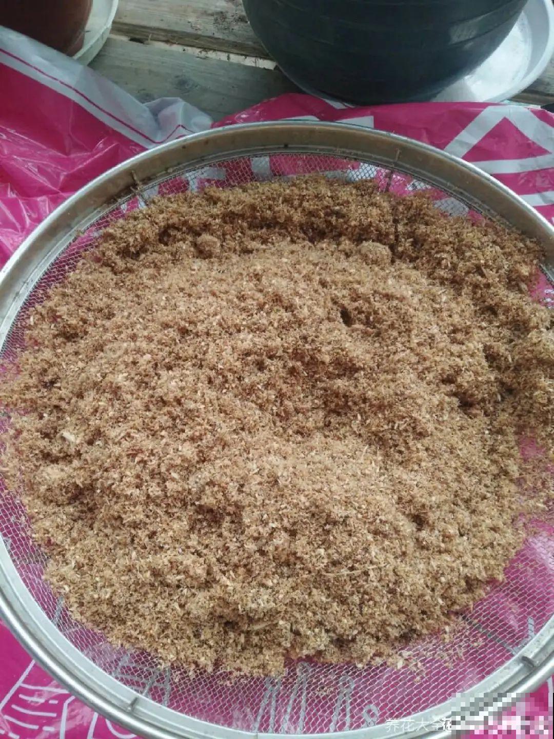 6种花夏天扦插,枝条剁8段、撒土里,3岁小孩都能插活! 6种花夏天扦插,枝条剁8段、撒土里,3岁小孩都能插活!