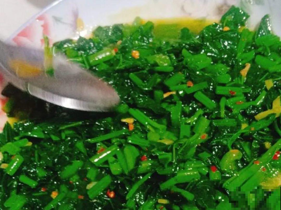 绿萝可以扔了,养盆“格调”花,颜值高还有气质 绿萝可以扔了,养盆“格调”花,颜值高还有气质