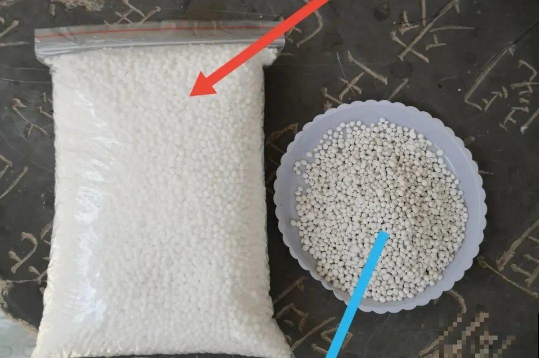 给花浇水掺点白醋，植物根比萝卜还粗，健壮不黄叶