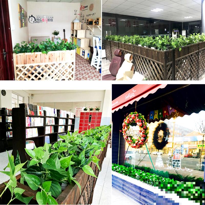 绿萝叶子总发黄，原来问题出在4个方面，再不管就只剩盆了