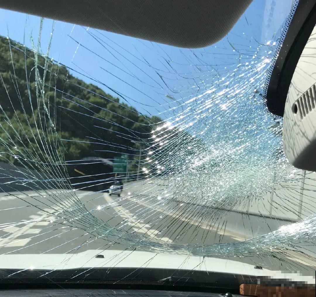 医院大门口,一男子竟被一片叶子砸晕,这叶子可真够大的 医院大门口,一男子竟被一片叶子砸晕,这叶子可真够大的