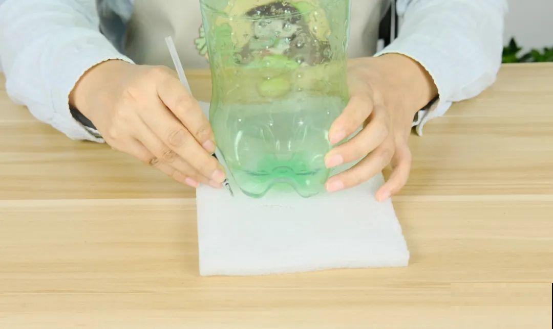 11种常见花，现在扦插，成活率特高