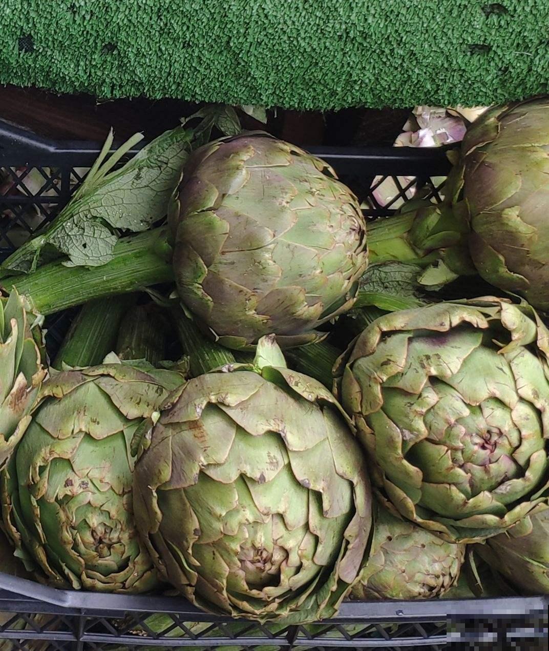 路边没人要的野花,外国人当成菜吃,味道有些奇怪 路边没人要的野花,外国人当成菜吃,味道有些奇怪