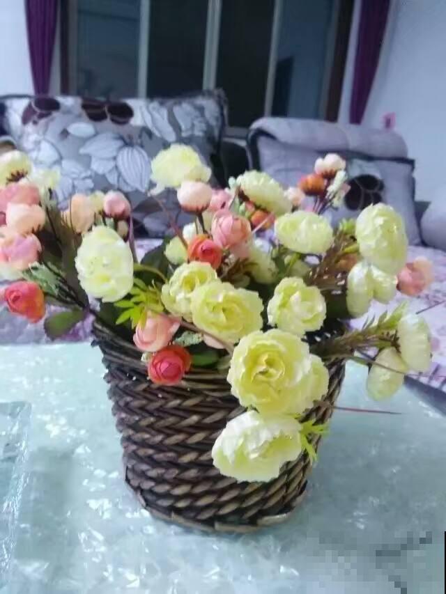 花总是被养死，不如养盆“永生花”，省心还好看