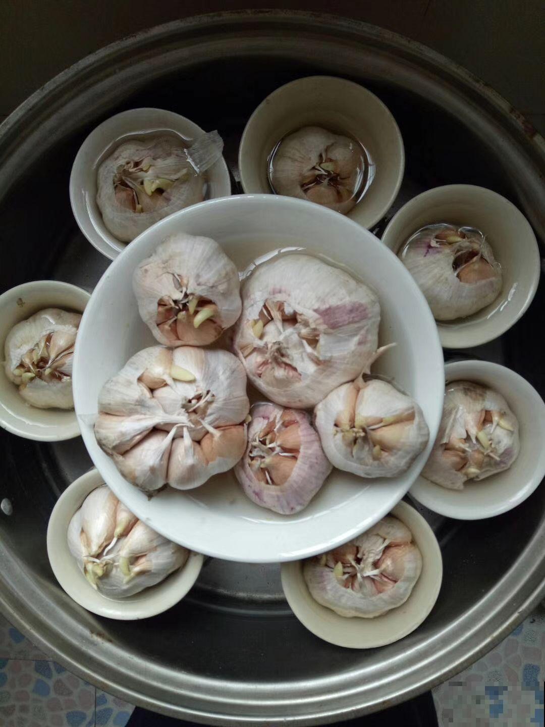 在家种4种蔬菜，简单好操作，生长速度快