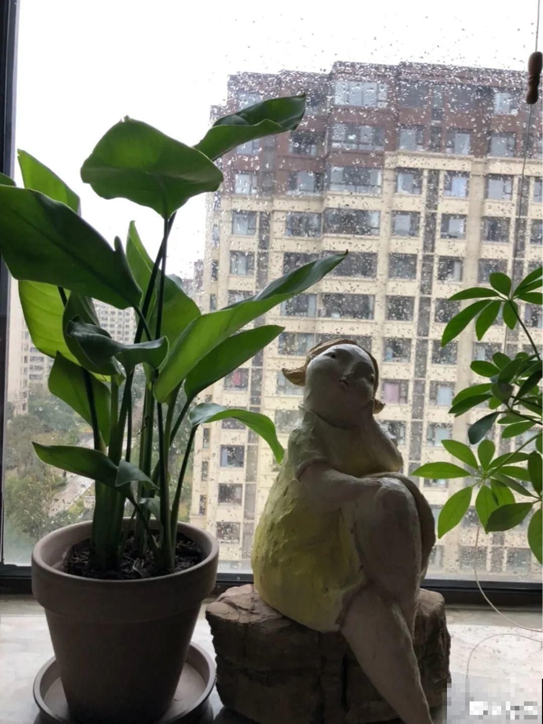 阳台虽小，种点花草，也能变成小花园