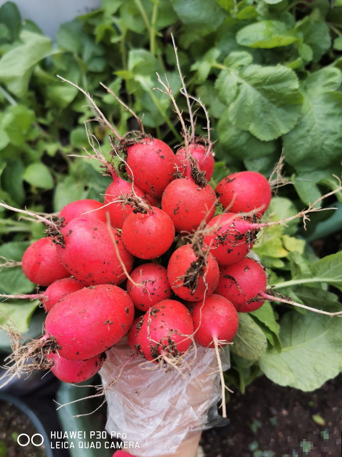 春天多喝3种汤，降燥补气，特别养生