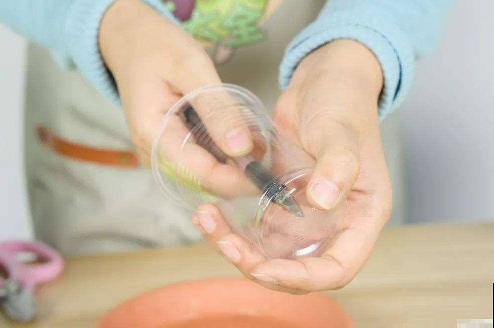 7种“落地生根”花,春天多插几棵,成活率特别高 7种“落地生根”花,春天多插几棵,成活率特别高