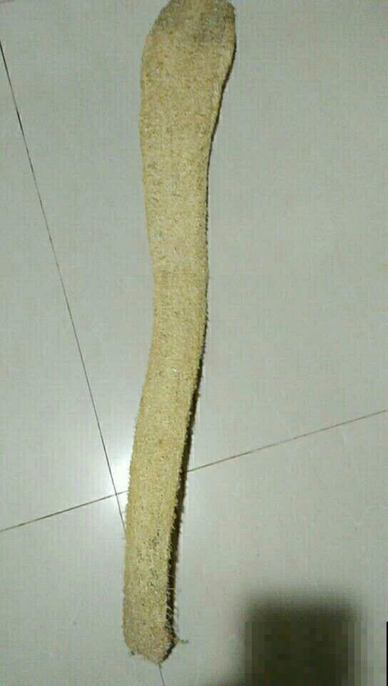 这些常见物，捡几个塞进花盆，花草从此不烂根！