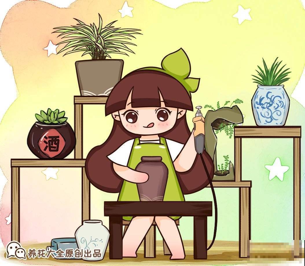 花盆的作用大多数人都忽视了，现在选好了，养花特省事！