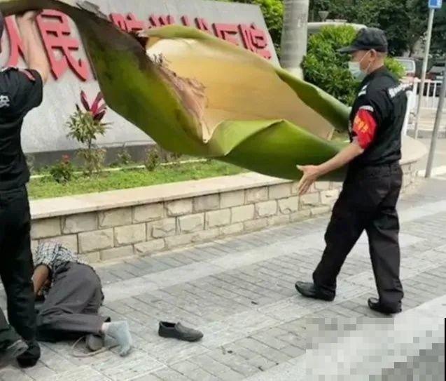 医院大门口，一男子竟被一片叶子砸晕，这叶子可真够大的
