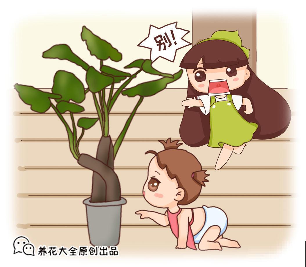 现实中这两种草，竟是武侠里的断肠草，毒性太强，一碰即“断肠”