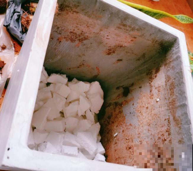 家里的旧物件别丢，拿来养花，能省不少养花钱