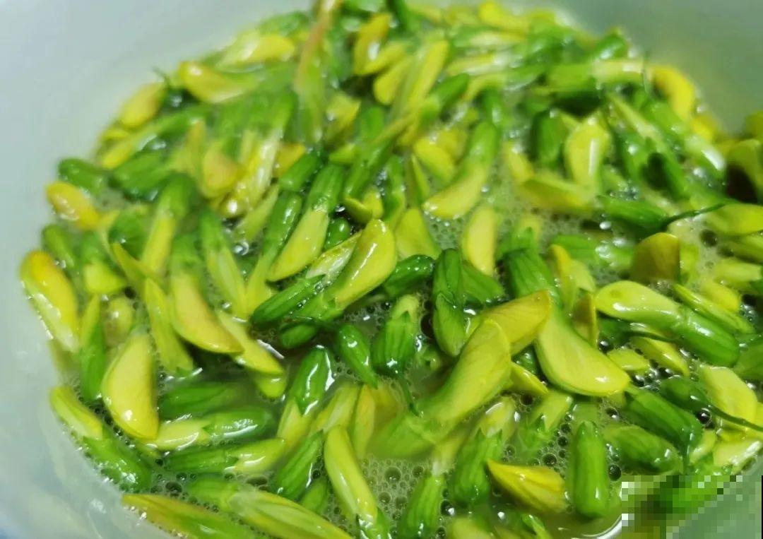 香飘飘的花,吃一口满嘴花香,再不吃就没了 香飘飘的花,吃一口满嘴花香,再不吃就没了