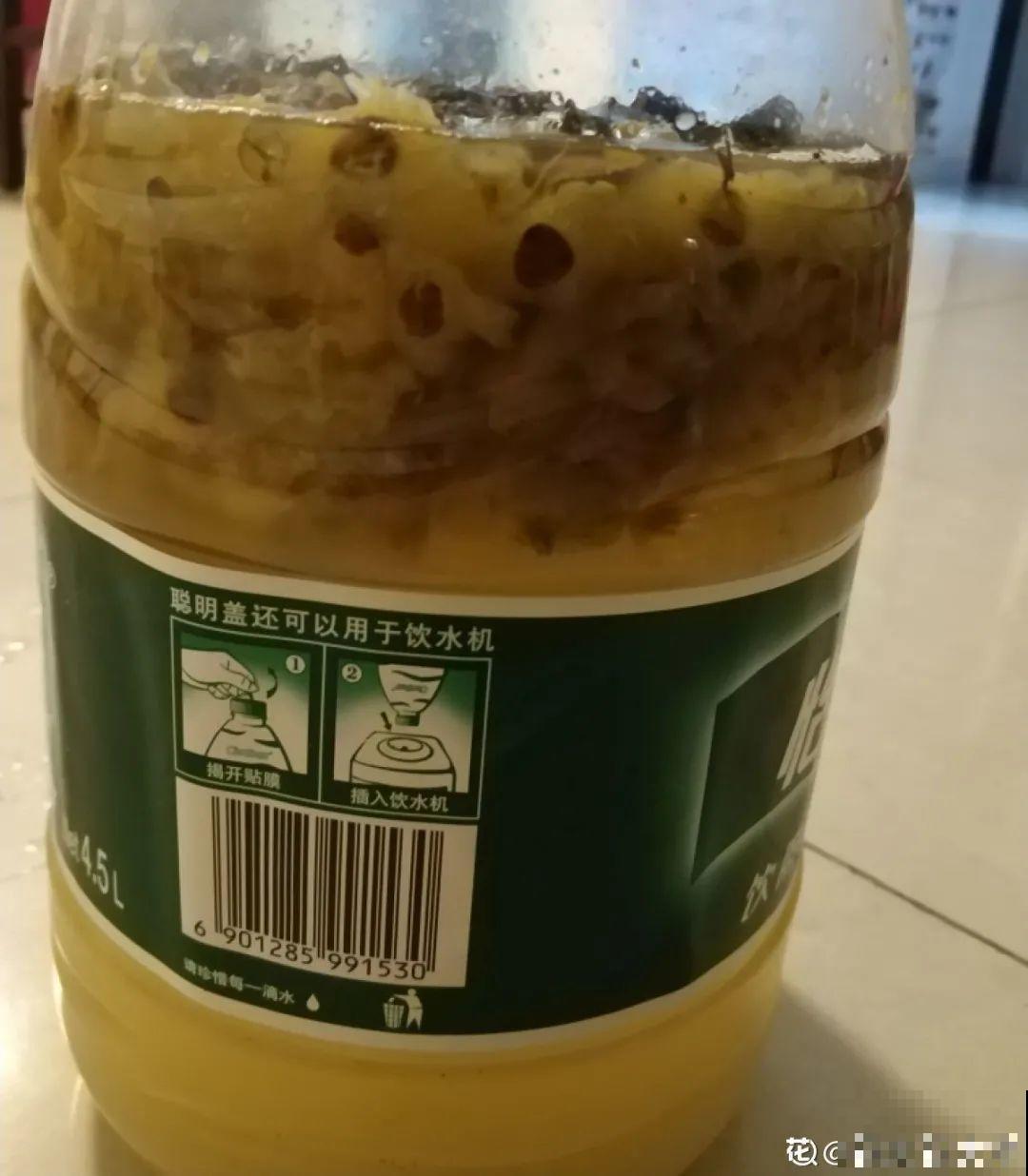 自制杀虫剂，7天喷一次，养花特干净